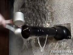 PERVERSE FAMILY – Anal Study